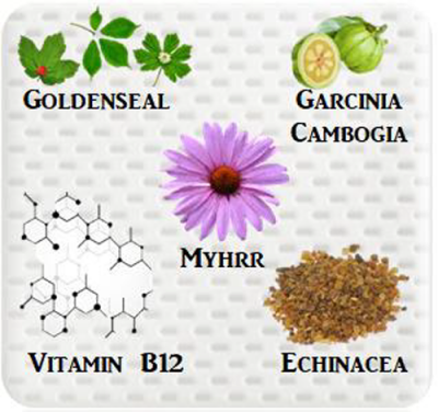 sculptpatch ingredients